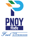 PNOY Electronic India Pvt. Ltd.